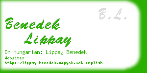 benedek lippay business card